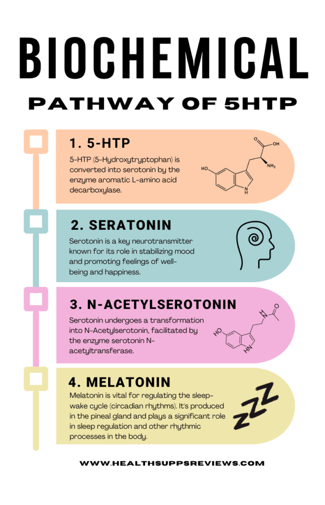biochemical pathway of 5-htp